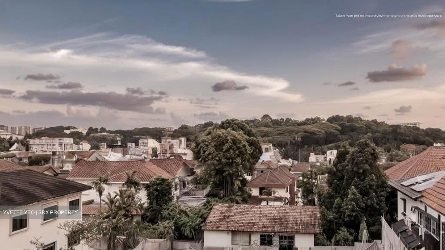 Braddell Heights Estate (D13), Semi-Detached #635583551